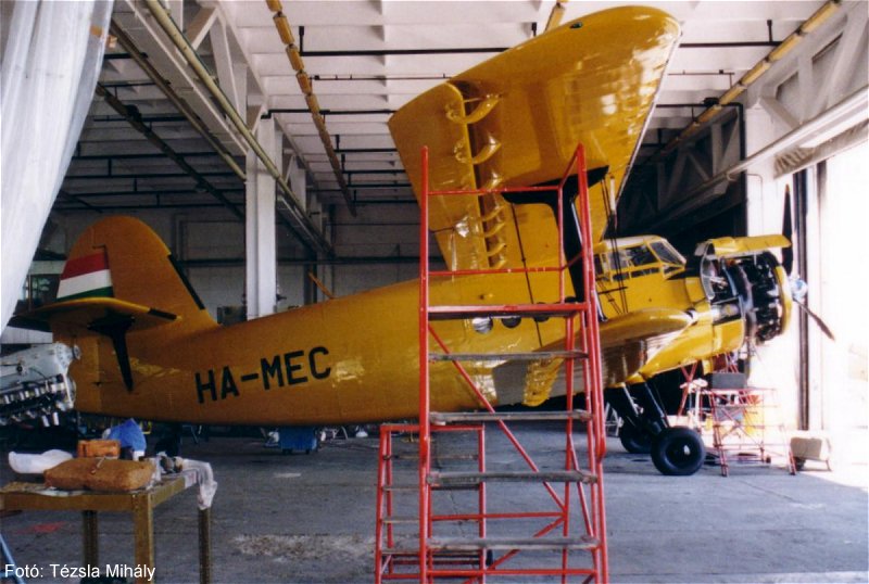 Kép a HA-MEC lajstromú gépről.