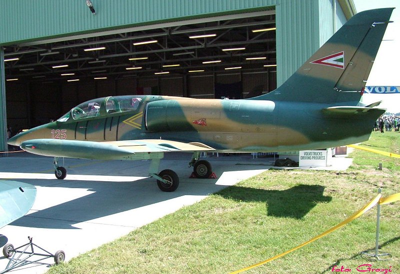 Kép a Aero L-39 Albatros típusú, 125 oldalszámú gépről.