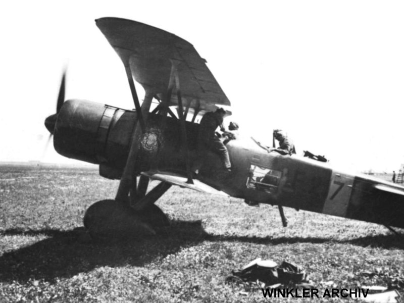 Kép a Weiss Manfréd W.M.21 Sólyom típusú, F.217 oldalszámú gépről.