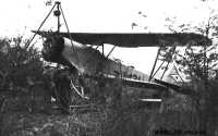 Kép a Fokker C.V. típusú, I.134 oldalszámú gépről.