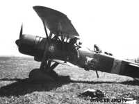 1. kép a Weiss Manfréd W.M.21 Sólyom típusú, F.217 oldalszámú gépről.