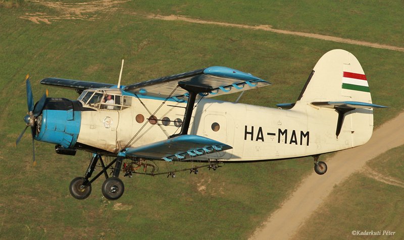 Kép a HA-MAM (2) lajstromú gépről.