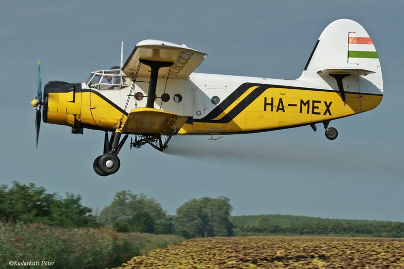 Kép a HA-MEX lajstromú gépről.