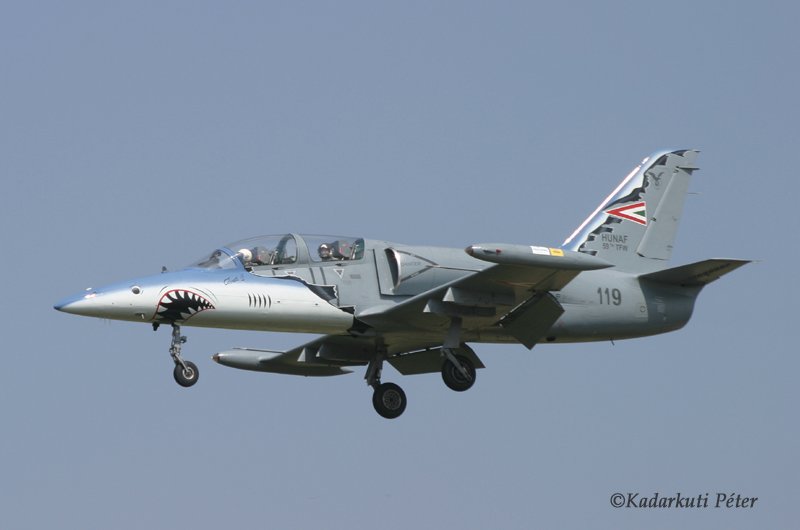 Kép a Aero L-39 Albatros típusú, 119 oldalszámú gépről.