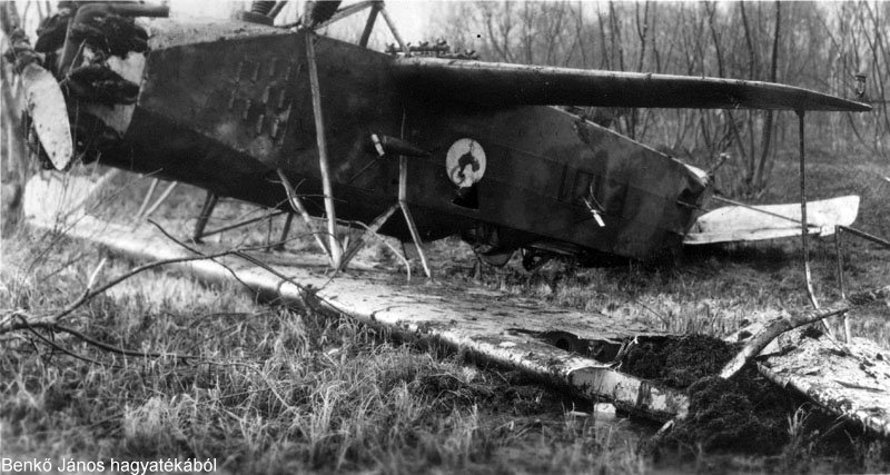 Kép a Fokker C.V. típusú, F.101 oldalszámú gépről.