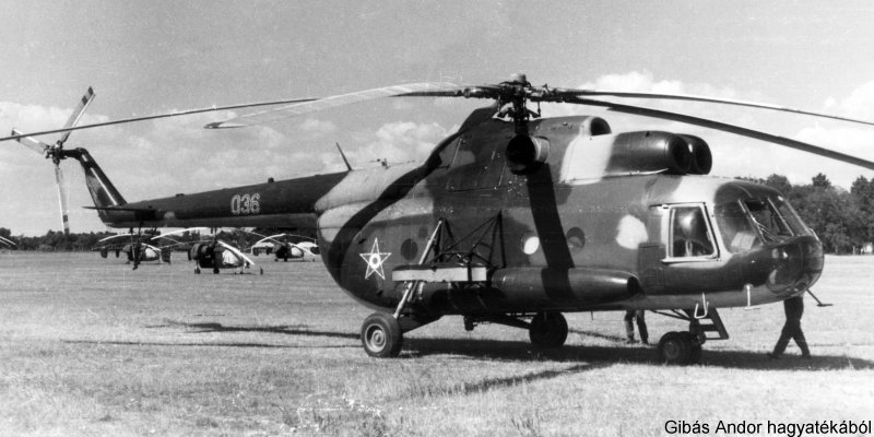 Kép a Mil Mi-8 típusú, 036 oldalszámú gépről.