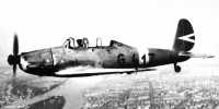 Kép a Arado Ar 96 típusú, G.417 oldalszámú gépről.