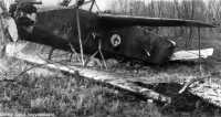 Kép a Fokker C.V. típusú, F.101 oldalszámú gépről.