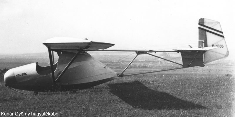 Kép a B-1003 lajstromú gépről.